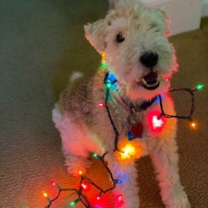 Meet your Posher, Logan